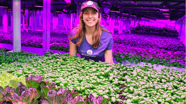 80 Acres Farms Girl in Greenhouse grow room
